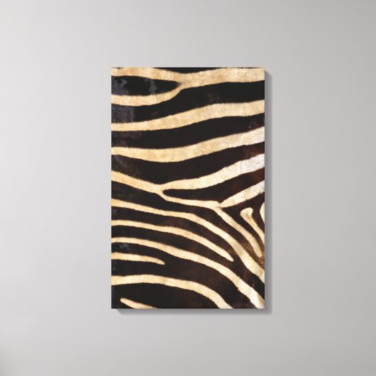 Toile Zebra hide 2 (Recto)