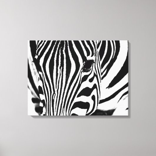 Toile Zebra portrait noir et blanc (Recto)