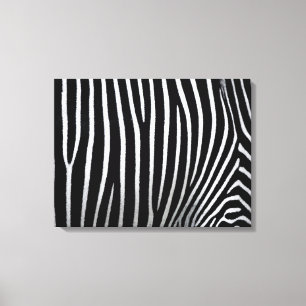Toile Zebra Skin