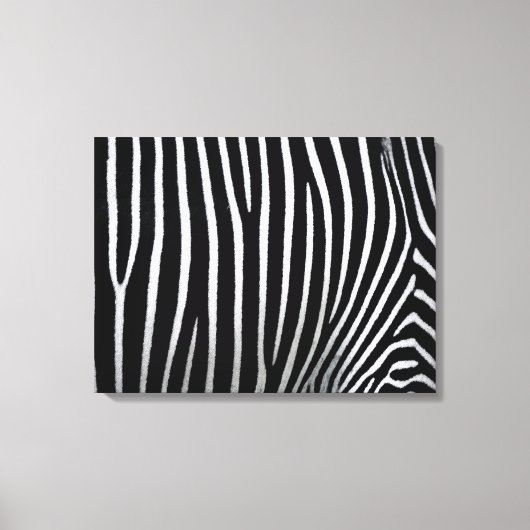 Toile Zebra Skin (Recto)