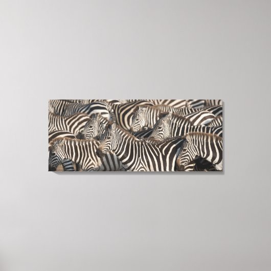 Toile Zèbres, Kenya, Afrique (Recto)