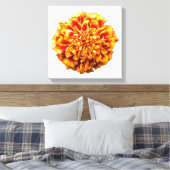 Toile Zinnia (Insitu(Chambre))