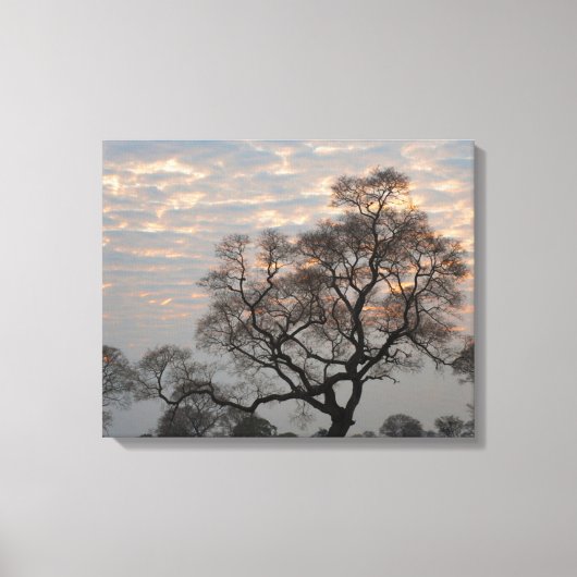 Toile Zones humides du Pantanal | Amérique du Sud, Brési (Recto)