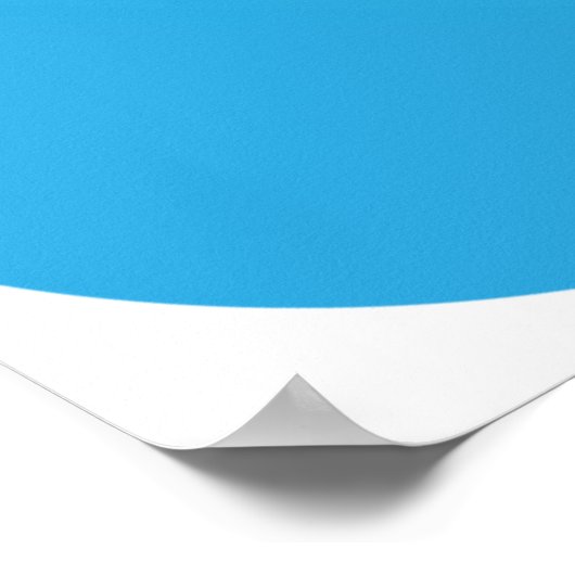 Toilets Icon Poster (Coin)