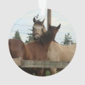 Toilettage de cheval (dos)