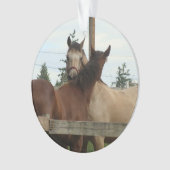 Toilettage de cheval (devant)