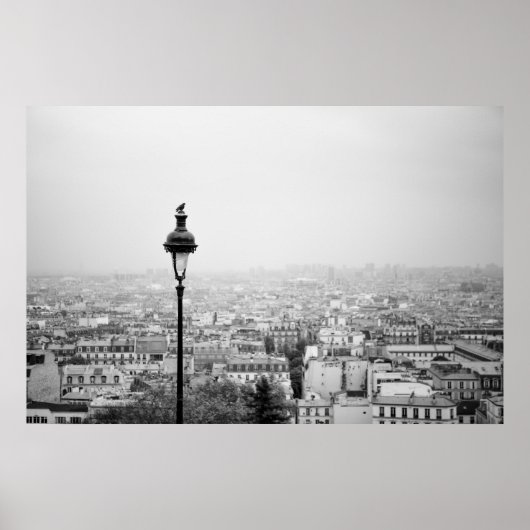 Toits du Paris - Poster (Devant)