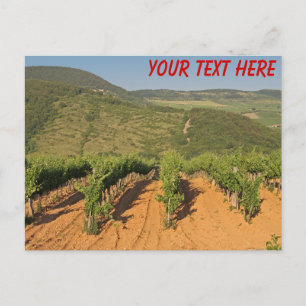 Tokaj-wijngaarden, Hongarije aanpasbaar Briefkaart