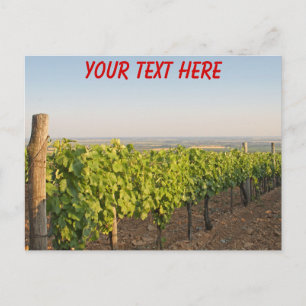 Tokaj-wijngaarden, Hongarije aanpasbaar Briefkaart