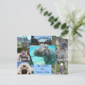 Toledo Zoo Briefkaart (Staand voorkant)