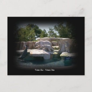Toledo Zoo Polar Bear Statue Postcard Briefkaart