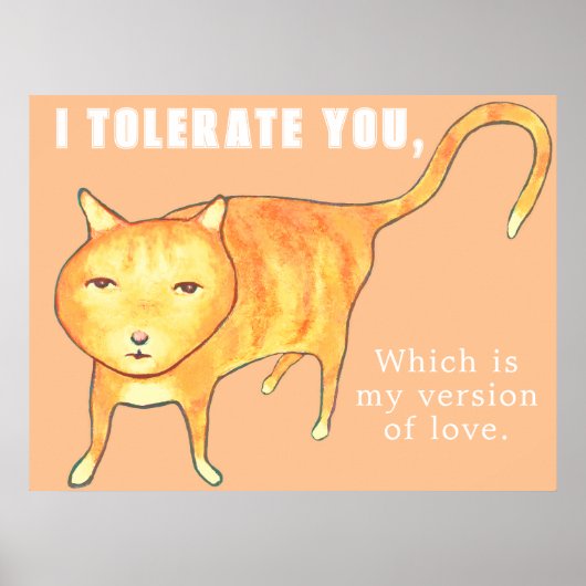 Tolerant Apathetic Orange Cat Poster (Voorkant)