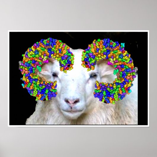 Toll-like Ram Poster (Voorkant)