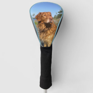 toller nat golfheadcover