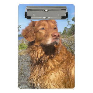 toller nat mini klembord