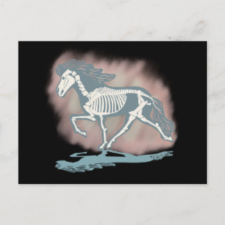 Tölter skeleton briefkaart