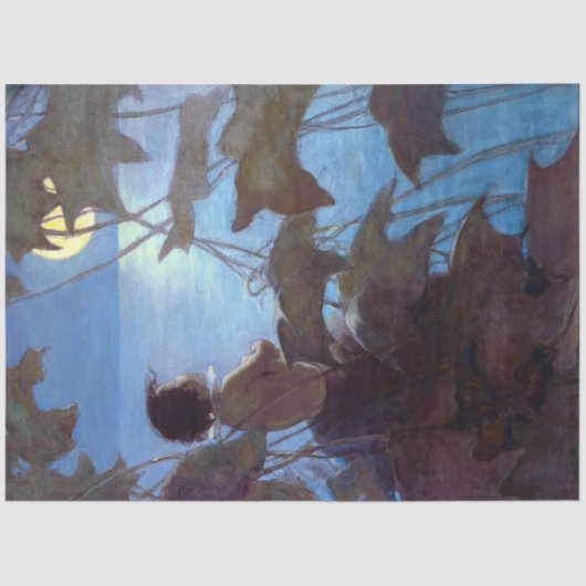 Tom die de maan bekijkt, Jessie Willcox Smith Tissuepapier (Voorkant)