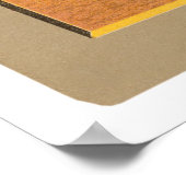 Tom Downey Reds Baseball 1911 Poster (Hoek)