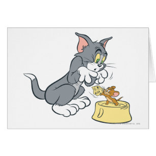 Tom et Jerry nourrissent le chat