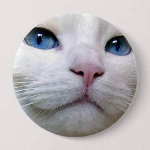 Tom knop ronde button 4,0 cm
