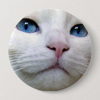 Tom knop ronde button 4,0 cm