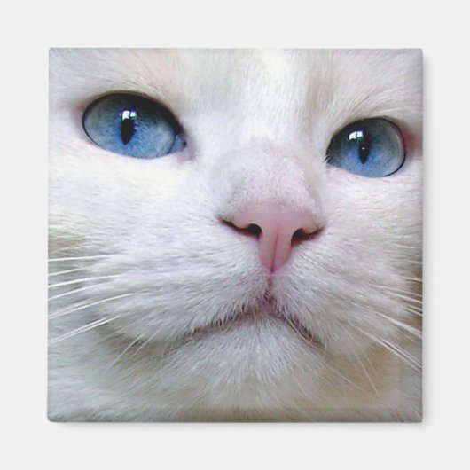 Tom Magnet Magneet (Voorkant)