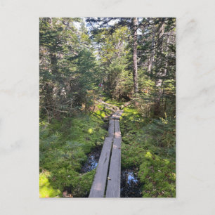 Tom New Hampshire Briefkaart