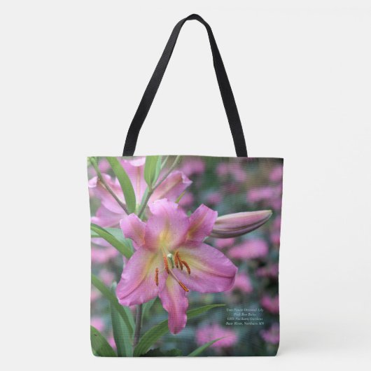 Tom Pouce Oriental Lily Pink Bee Balm Draagtas (Voorkant)