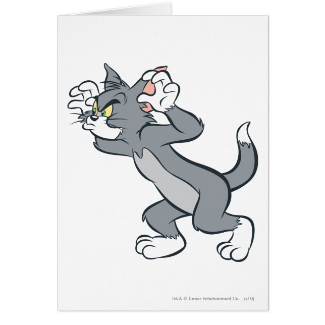 Tom Ready (Voorkant)