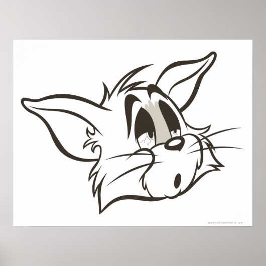Tom Sleepy Cat Poster (Voorkant)