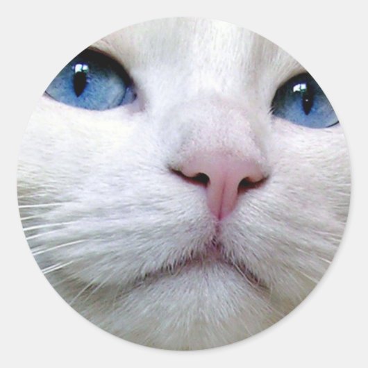 Tom Sticker (Devant)