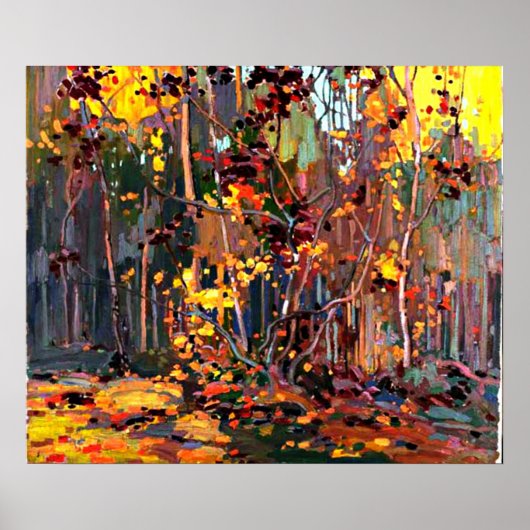 Tom Thomson - Maple Saplings Poster (Voorkant)