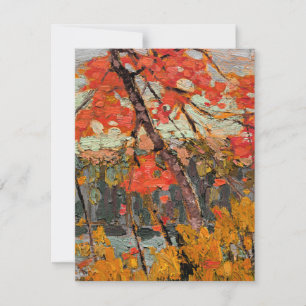 Tom Thomson - Verwrongen esdoorn