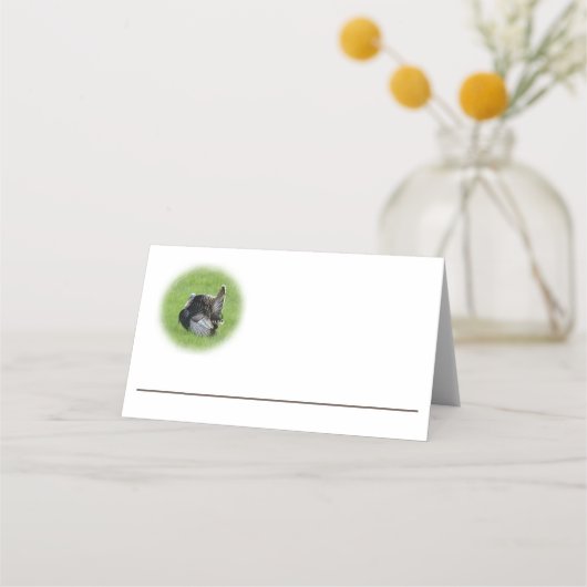 Tom Turkey (Voorkant)