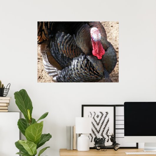 Tom Turkey 1 Poster (Thuiskantoor)