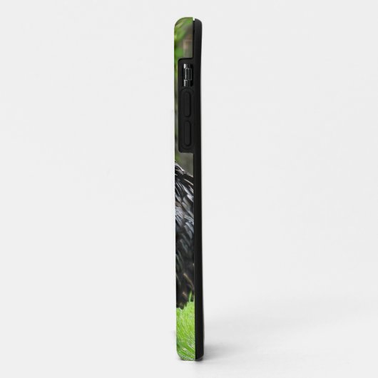 Tom Turkey Feather Display Case-Mate iPhone Case (Achterkant/links)