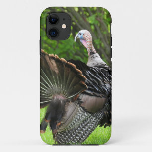 Tom Turkey Feather Display iPhone 11 Hoesje