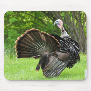 Tom Turkey Feather Display Muismat