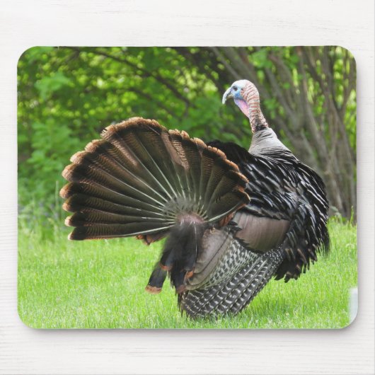 Tom Turkey Feather Display Muismat (Voorkant)