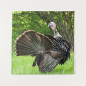 Tom Turkey Feather Display Wandkleed (Voorkant)
