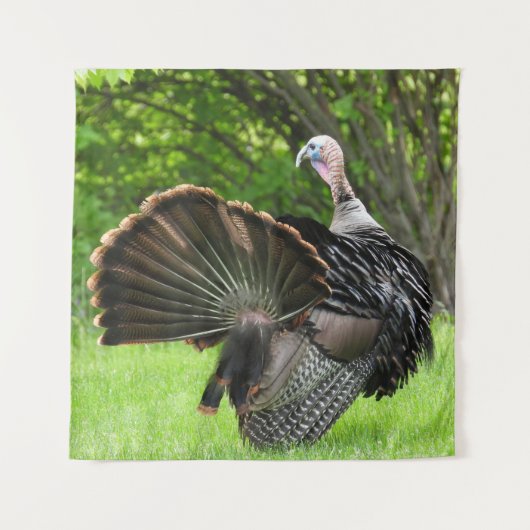 Tom Turkey Feather Display Wandkleed (Voorkant)