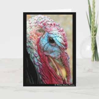 Tom Turkey Feestdagen Kaart
