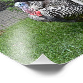 Tom Turkey Foto Afdruk (Hoek)