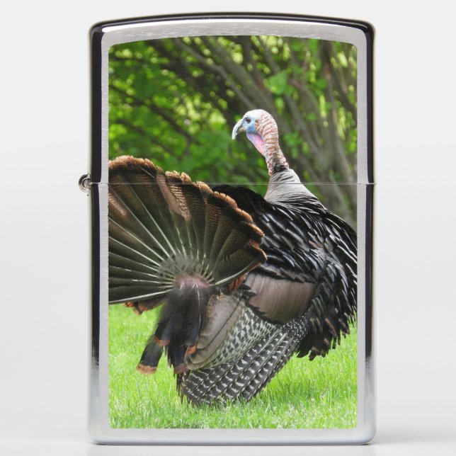 Tom Turkey Model (Voorkant)