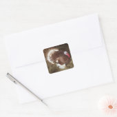 Tom Turkey Stickers (Envelop)