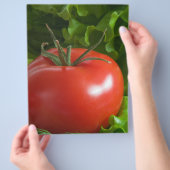 Tomaat Flyer (Hand)