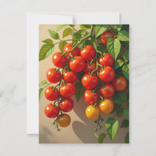 Tomaat Plant Tuinieren Thematische Zomer Stemming Briefkaart