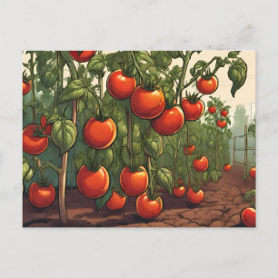 Tomaat Planten met Red Ripe Tomatoes in de Tuin Briefkaart