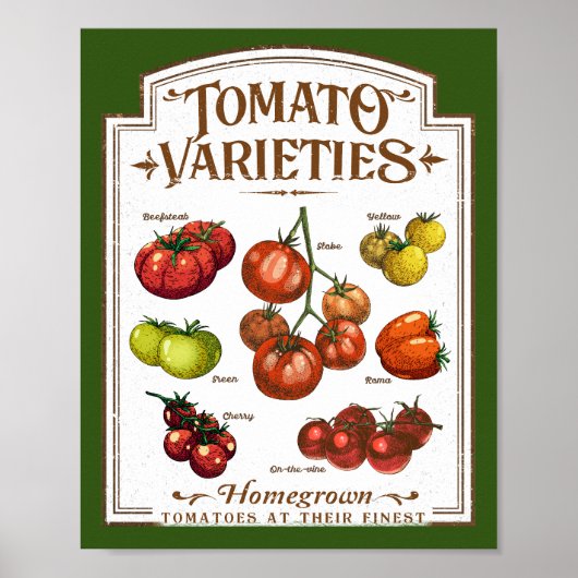 Tomaat Tuinman, Groente Tomaten Tuinieren Poster (Voorkant)