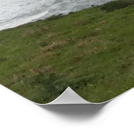 Tomales Point in Point Reyes National Seashore Poster (Hoek)